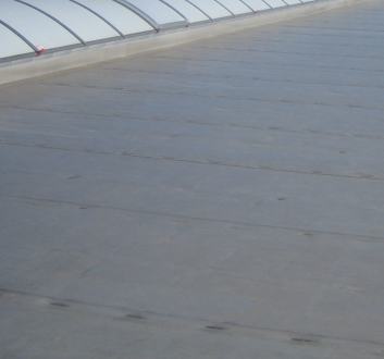 Reifenrath Dach Flachdach